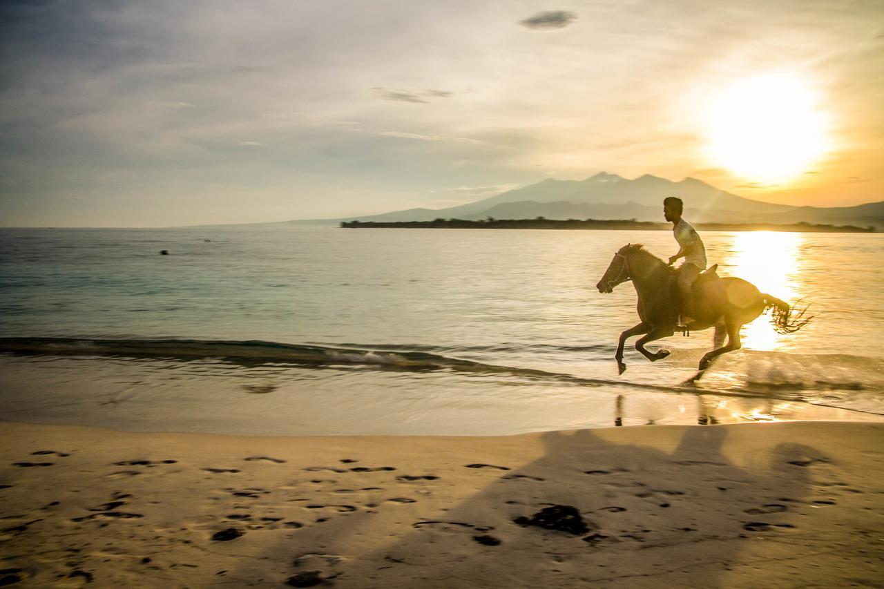 Villa Pulau Cinta Boutique Suites Gili Meno Ngoại thất bức ảnh